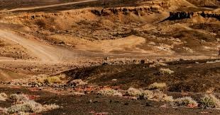 西媒：巴列卡诺球迷大巴在波兰遭50多人蒙面袭击，数人受伤