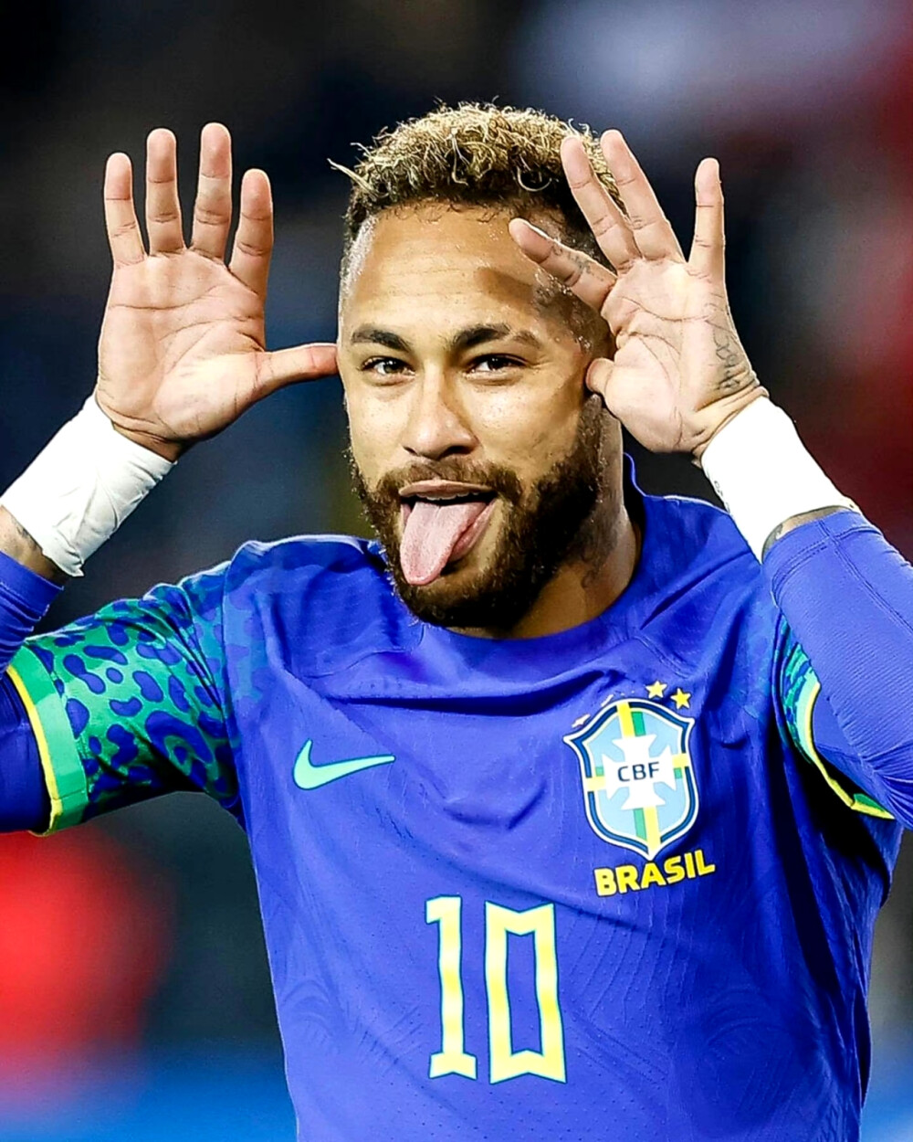 的坚决信心 的坚决信心